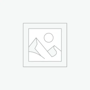 Brain Boost Activity Bundle